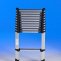 Scala telescopica X-Tend - 1